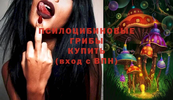 амф Слюдянка