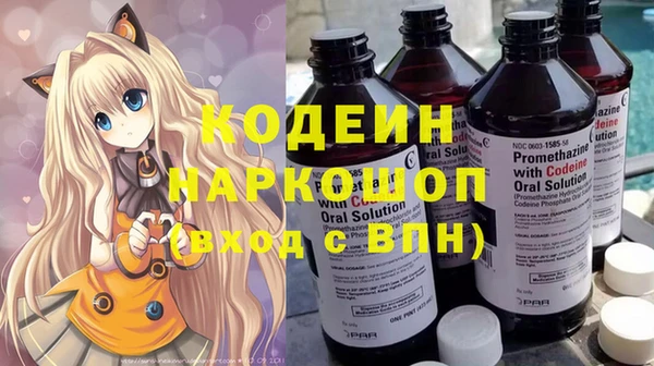 mix Снежногорск