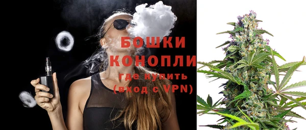 ПСИЛОЦИБИНОВЫЕ ГРИБЫ Абаза