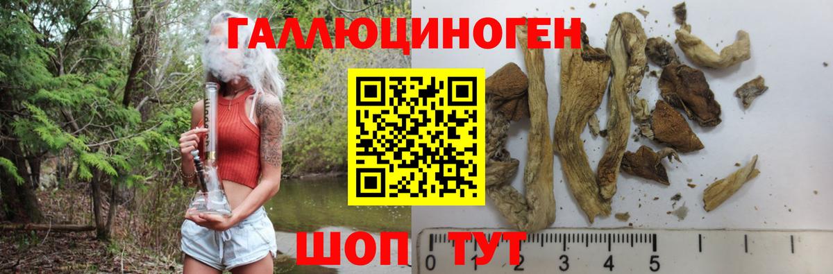 Псилоцибиновые грибы Magic Shrooms  Вход с VPN  Касимов 