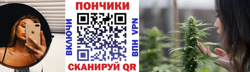 Бошки марихуана VHQ  kraken рабочий сайт  Касимов 